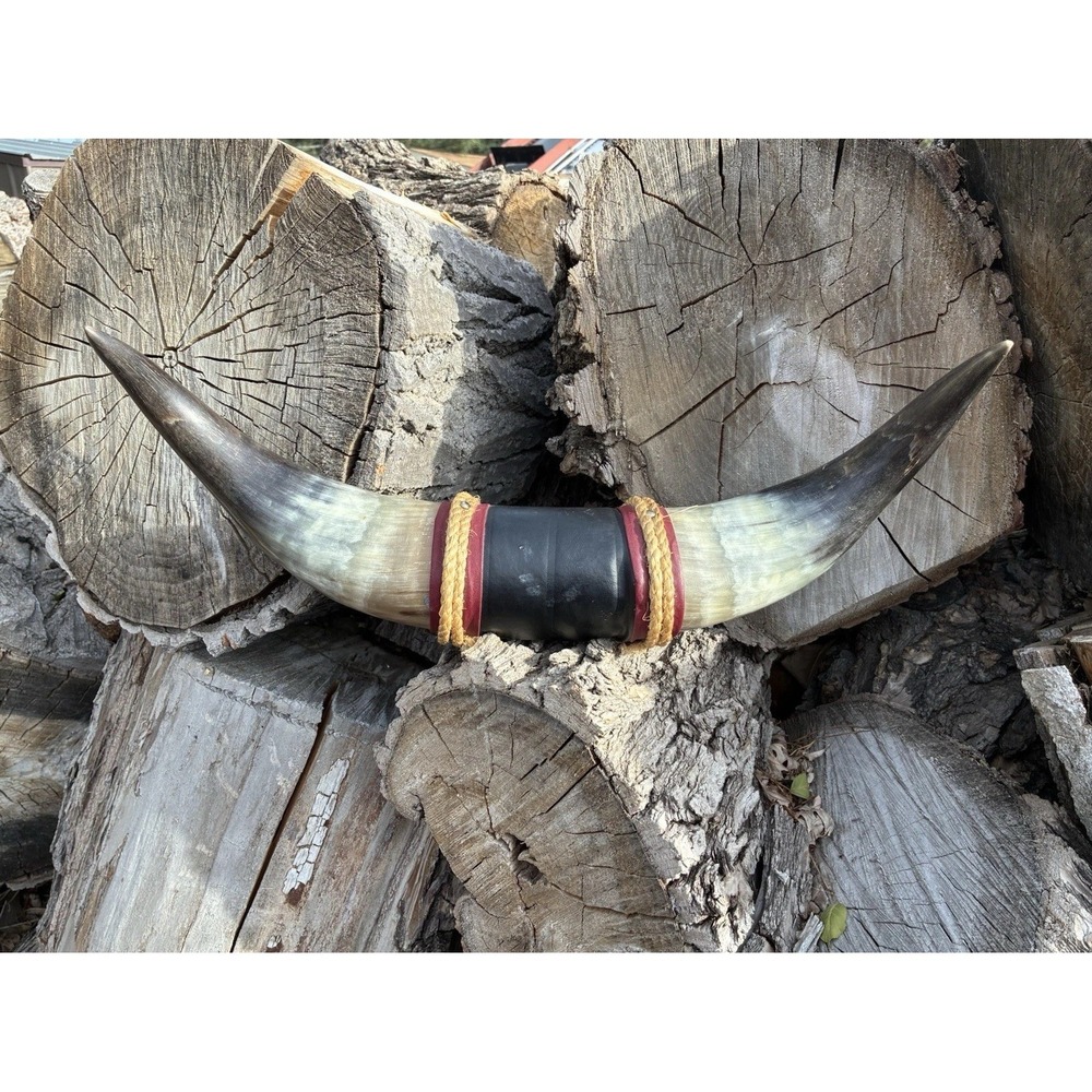 Steer Bull Horns Cowboy Horns Longhorn Measure 19 1/4 Inches Long Tip To Tip